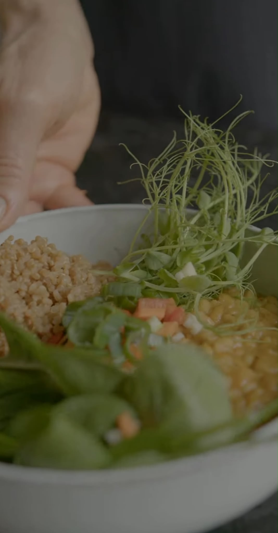 Cremige Mung Dal Bowl